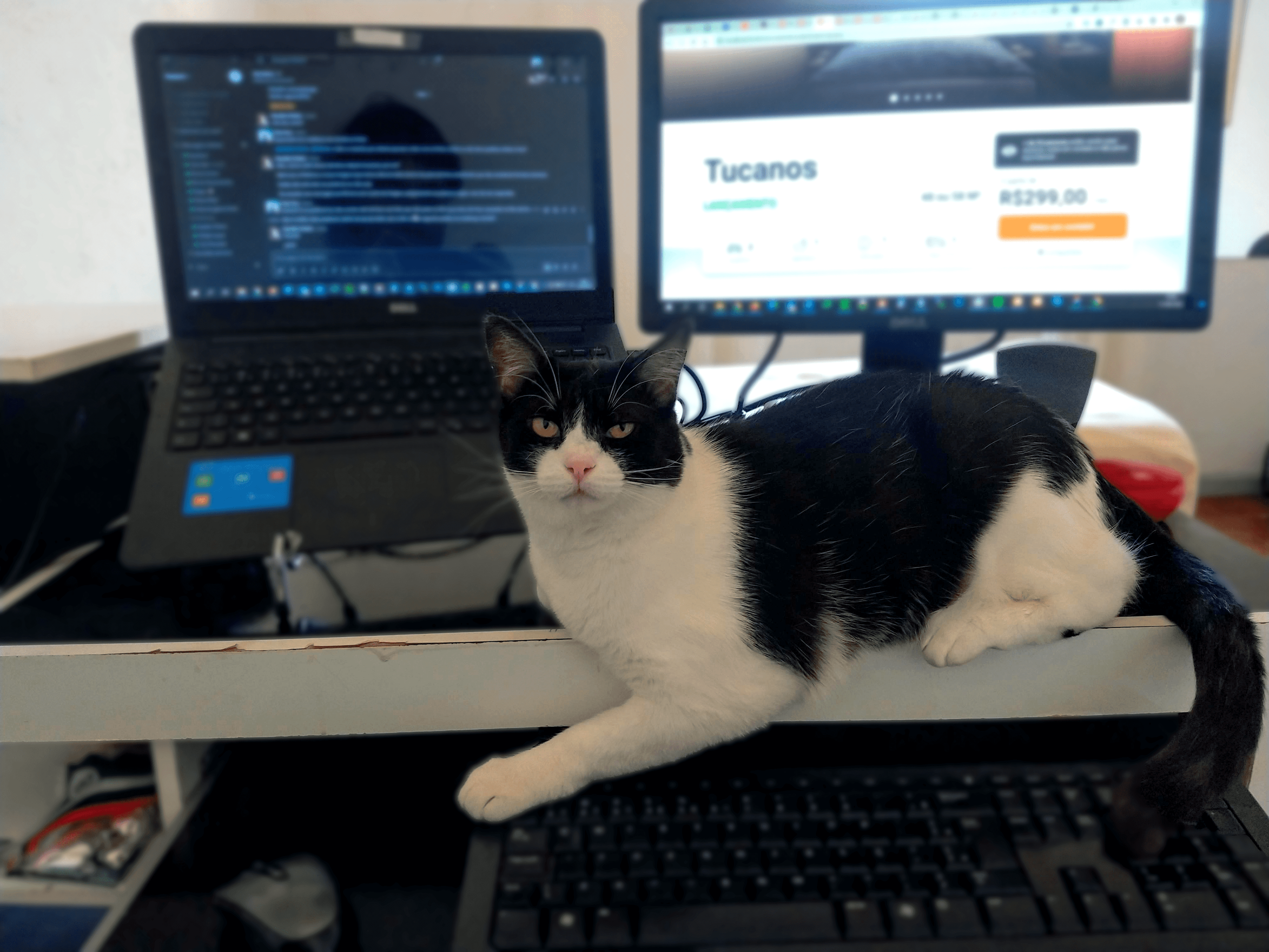 Um ano em casa: o home office perfeito, definitivamente, não existe!